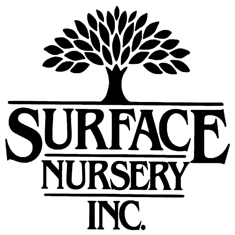 SurfaceNursery